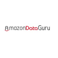 Amazon Data Guru logo - Similar company to Data Secure Solutions Pvt Ltd