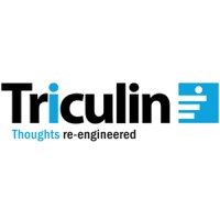 Triculin Technologies Pvt. Ltd. logo - Similar company to PEPROTES - People | Process | Technology | Services