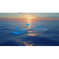 Blue Horizon Ventures logo - Similar company to Nova Tech Solutions