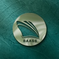 BAASS Group logo - Similar company to World Touch Freight Forwarder