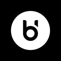 Born Holding logo - Similar company to Made 4 Sales