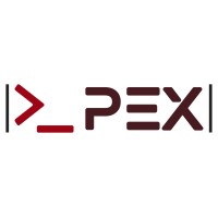 Apex Nile logo - Similar company to Tech Natives