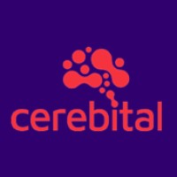 Cerebital logo - Similar company to Devteam