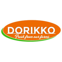 DORIKKO logo - Similar company to Bostonsolux