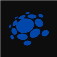 DLA ignite logo - Similar company to Accelery, Inc.