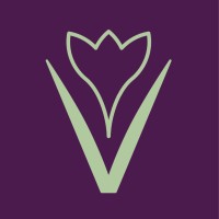 Vernus Consulting logo - Similar company to Tiro Select
