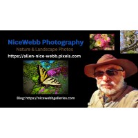 Nicewebb Photography
