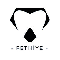 Dentoper Fethiye logo - Similar company to Dentoper Antalya