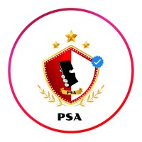 PlugScenes Academy logo - Similar company to Plugscenes Llc