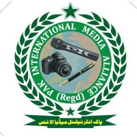 Pak International Media Alliance Registered Mob.03319922000 logo - Similar company to Pineapple Circuit