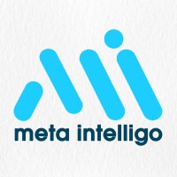 Meta Intelligo Technologies Pvt Ltd logo - Similar company to Ideobiz Technologies