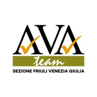 Ava Team Fvg
