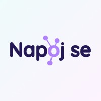 Napojse logo - Similar company to Avalon Marketing S.R.O.