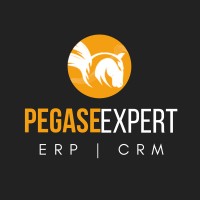 PEGASE INFORMATIQUE logo - Similar company to Infinysoft