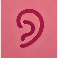 Play by Ear logo - Similar company to Era Inc