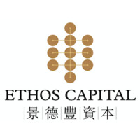 Ethos International logo - Similar company to Springboards Consulting