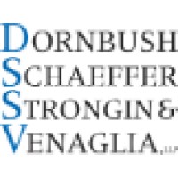 Dornbush Schaeffer Strongin & Venaglia, Llp