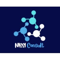 Nissi Consult - It & Software
