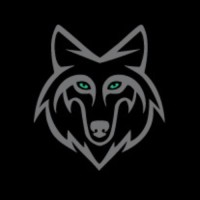 Berserkers Finance logo - Similar company to Kungali