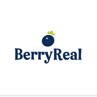 Berry Real logo - Similar company to Theorem Capital