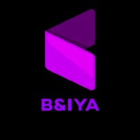 B&IYA logo - Similar company to Software Giant