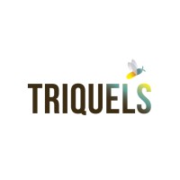 Triquels logo - Similar company to 3B Factoría Creativa