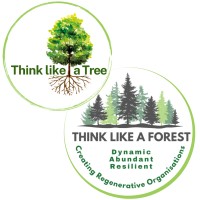 Think like a Tree / Think like a Forest logo - Similar company to Forest + Tree