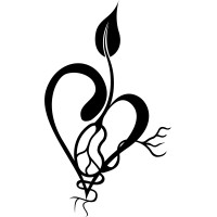 Rooted. Social Creative.