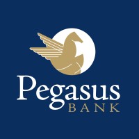 Pegasus Bank logo - Similar company to Skywire