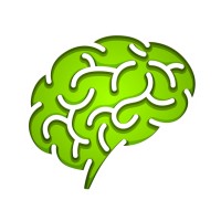Future 4 Brains logo - Similar company to Future 4 Ms