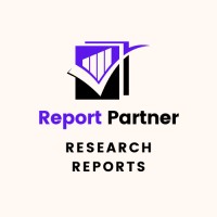 Report Partner logo - Similar company to Healthcare Market Overview