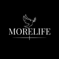 MoreLifeTheBrand logo - Similar company to Ballers In God
