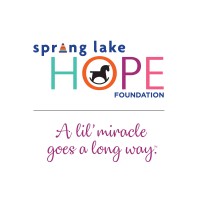 SPRING LAKE HOPE FOUNDATION INC logo - Similar company to Labor Sync