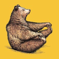 Brawny Bear Nutrition logo - Similar company to Skd Design Studio