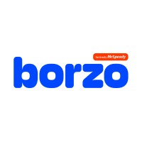 Borzo Philippines logo - Similar company to Hirenodes - Online Recruitment Solution
