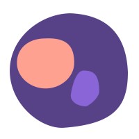 Dana Health logo - Similar company to Ambr Ai