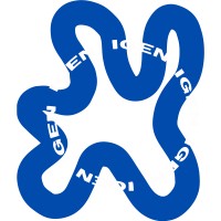 IGEN logo - Similar company to Smallrevolution