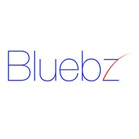 Bluebz logo - Similar company to Descent Wood