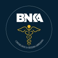 BNKA Assessoria e Contabilidade Empresarial logo - Similar company to Ceaad - Centro Avançado De Análise De Dados