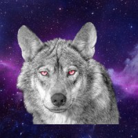 Red Wolves Productions logo - Similar company to Elevate Media