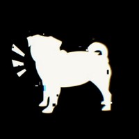 Bad Pug | Creative Studio