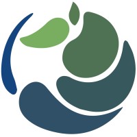 Armadillo Analytics logo - Similar company to All Things Being Sql
