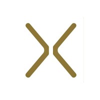 IntrospeXion logo - Similar company to Integrity Hse