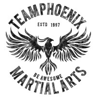 Team Phoenix Martial Arts logo - Similar company to Combat Warriors
