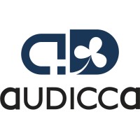 AUDICCA - Auditoría Integral y Consultoría logo - Similar company to Barma