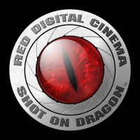 PlatinumHD logo - Similar company to Nextreality3D