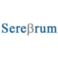 Serebrum Corporation logo - Similar company to Serebrum