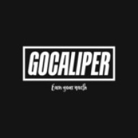 gocaliper.com logo - Similar company to 8Wave
