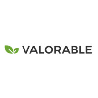 VALORABLE logo - Similar company to Aibuc