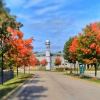 Masjid Mahmood logo - Similar company to Masjid